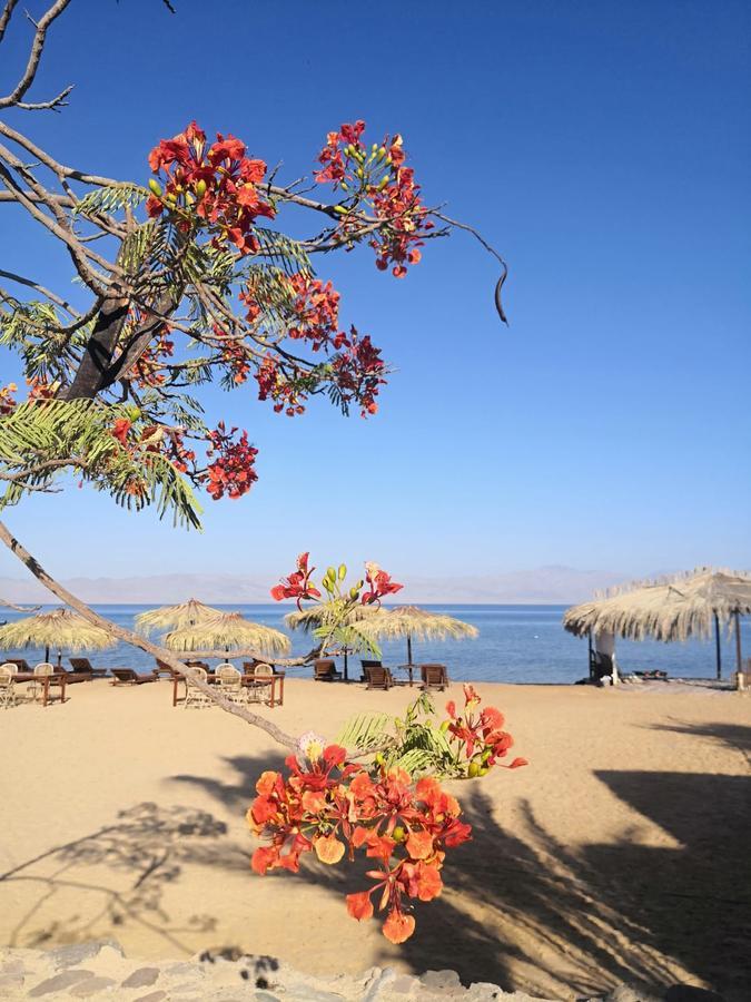 Nuweiba Lodge Екстериор снимка